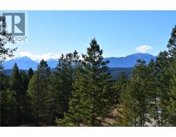 7074 White Tail Lane Lot# 15, Radium Hot Springs, BC V0A1M0 Photo 20
