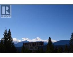 7074 White Tail Lane Lot# 15, Radium Hot Springs, BC V0A1M0 Photo 17
