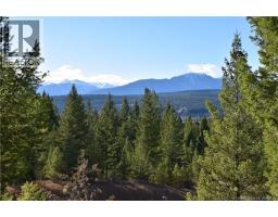 7070 White Tail Lane Lot# 16, Radium Hot Springs, BC V0A1M0 Photo 7
