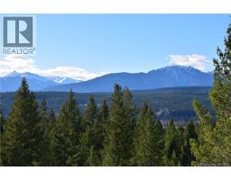 7066 White Tail Lane Lot# 17, Radium Hot Springs, BC V0A1M0 Photo 9