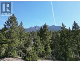 7048 White Tail Lane Lot# 21, Radium Hot Springs, BC V0A1M0 Photo 9