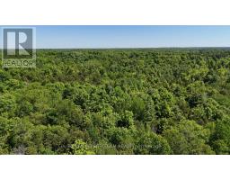 000 Dragonfly Lane, Rideau Lakes, ON K0G1L0 Photo 7