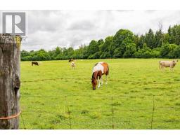 20195 Kenyon Conc Rd 1 Road, North Glengarry, ON K0C1A0 Photo 11