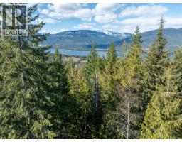 Lot 9 Tulip Crescent, Eagle Bay, BC V0E1T0 Photo 10