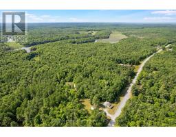 2625 Ardoch Road, Frontenac, ON K0H1J0 Photo 8
