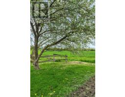 13965 Loyalist Parkway, Prince Edward County, ON K0K2T0 Photo 42