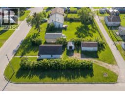115 Niblock Street, Bawlf, AB T0B0J0 Photo 26
