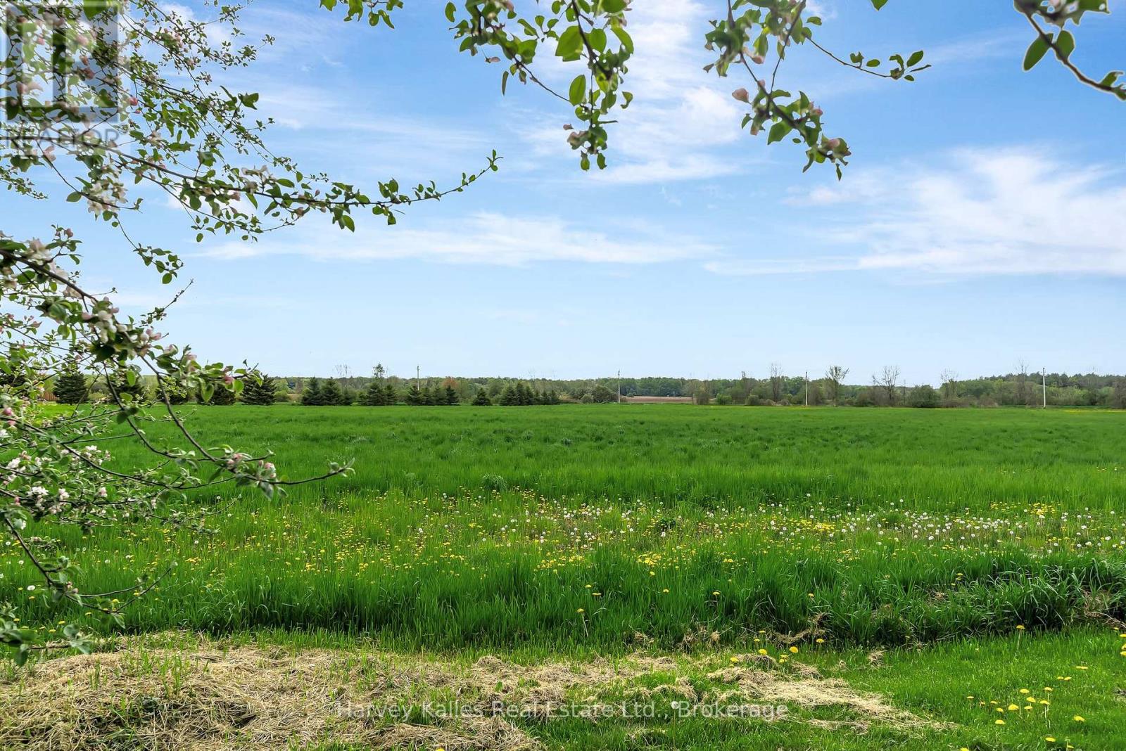 13965 LOYALIST PARKWAY - 43
