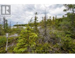 149 Robert Allen Drive, Northern Bruce Peninsula, ON N0H2R0 Photo 14