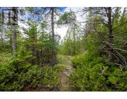 149 Robert Allen Drive, Northern Bruce Peninsula, ON N0H2R0 Photo 25