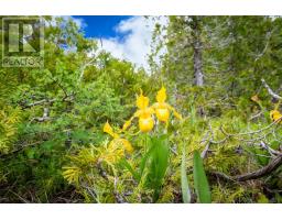 149 Robert Allen Drive, Northern Bruce Peninsula, ON N0H2R0 Photo 11