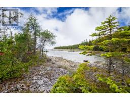149 Robert Allen Drive, Northern Bruce Peninsula, ON N0H2R0 Photo 24