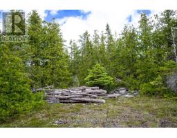 149 Robert Allen Drive, Northern Bruce Peninsula, ON N0H2R0 Photo 35