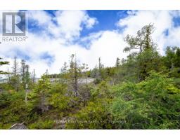 149 Robert Allen Drive, Northern Bruce Peninsula, ON N0H2R0 Photo 15