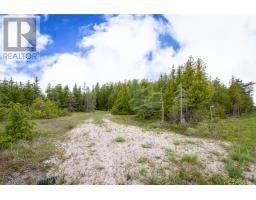 149 Robert Allen Drive, Northern Bruce Peninsula, ON N0H2R0 Photo 39