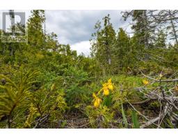 149 Robert Allen Drive, Northern Bruce Peninsula, ON N0H2R0 Photo 12