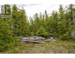 149 Robert Allen Drive, Northern Bruce Peninsula, ON N0H2R0 Photo 36