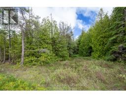 149 Robert Allen Drive, Northern Bruce Peninsula, ON N0H2R0 Photo 43