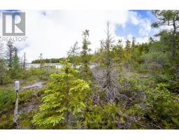 149 Robert Allen Drive, Northern Bruce Peninsula, ON N0H2R0 Photo 13