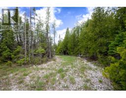 149 Robert Allen Drive, Northern Bruce Peninsula, ON N0H2R0 Photo 37