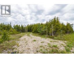149 Robert Allen Drive, Northern Bruce Peninsula, ON N0H2R0 Photo 40