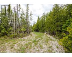 149 Robert Allen Drive, Northern Bruce Peninsula, ON N0H2R0 Photo 38