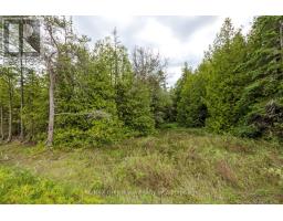 149 Robert Allen Drive, Northern Bruce Peninsula, ON N0H2R0 Photo 44