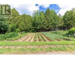 94 Fords Drive, Grey Highlands, ON N0C1H0 Photo 25