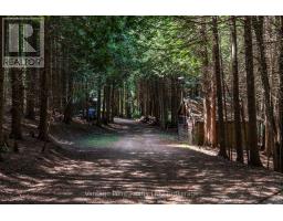 94 Fords Drive, Grey Highlands, ON N0C1H0 Photo 8