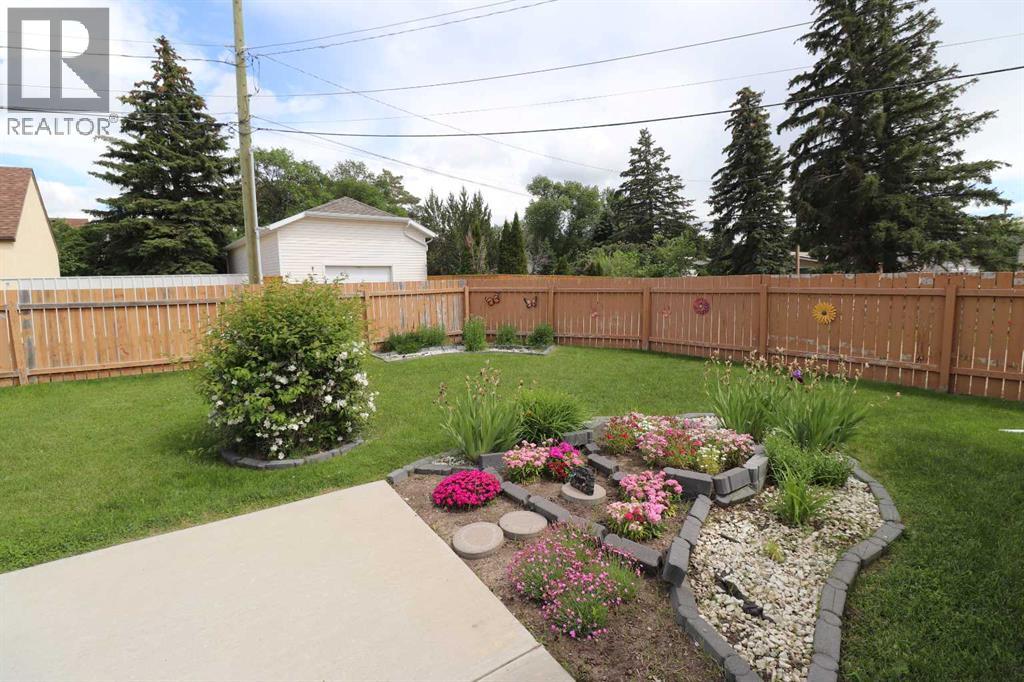 Back Yard View