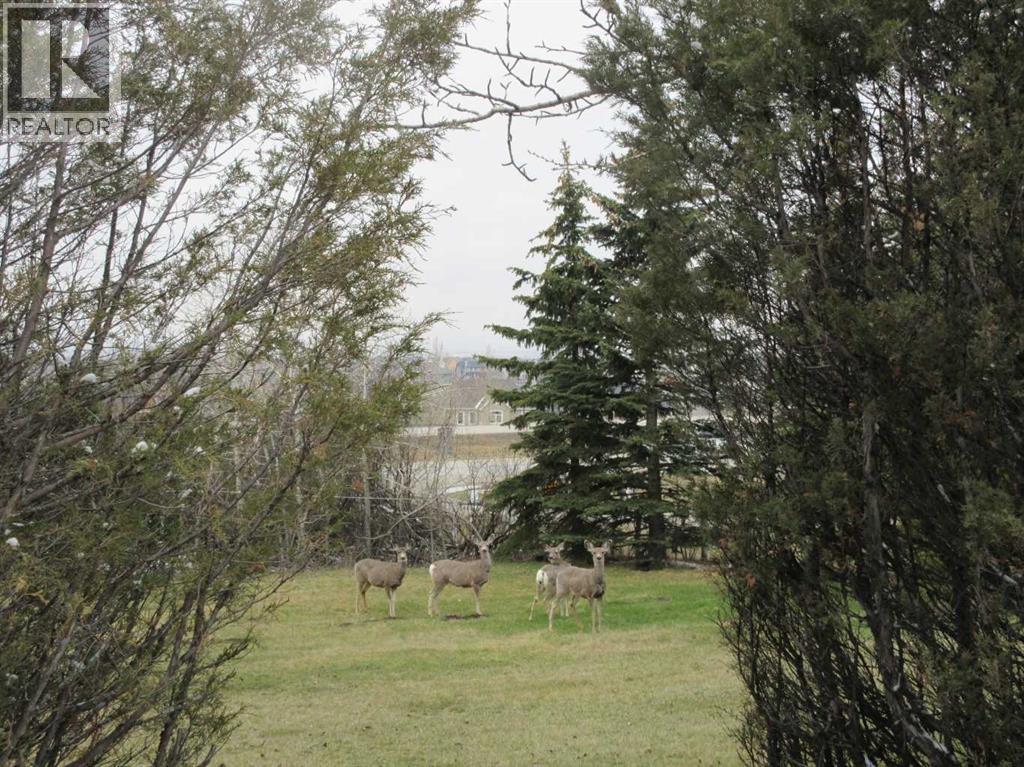 You will get lots of native visitors, just a few of the more curious ones. ?