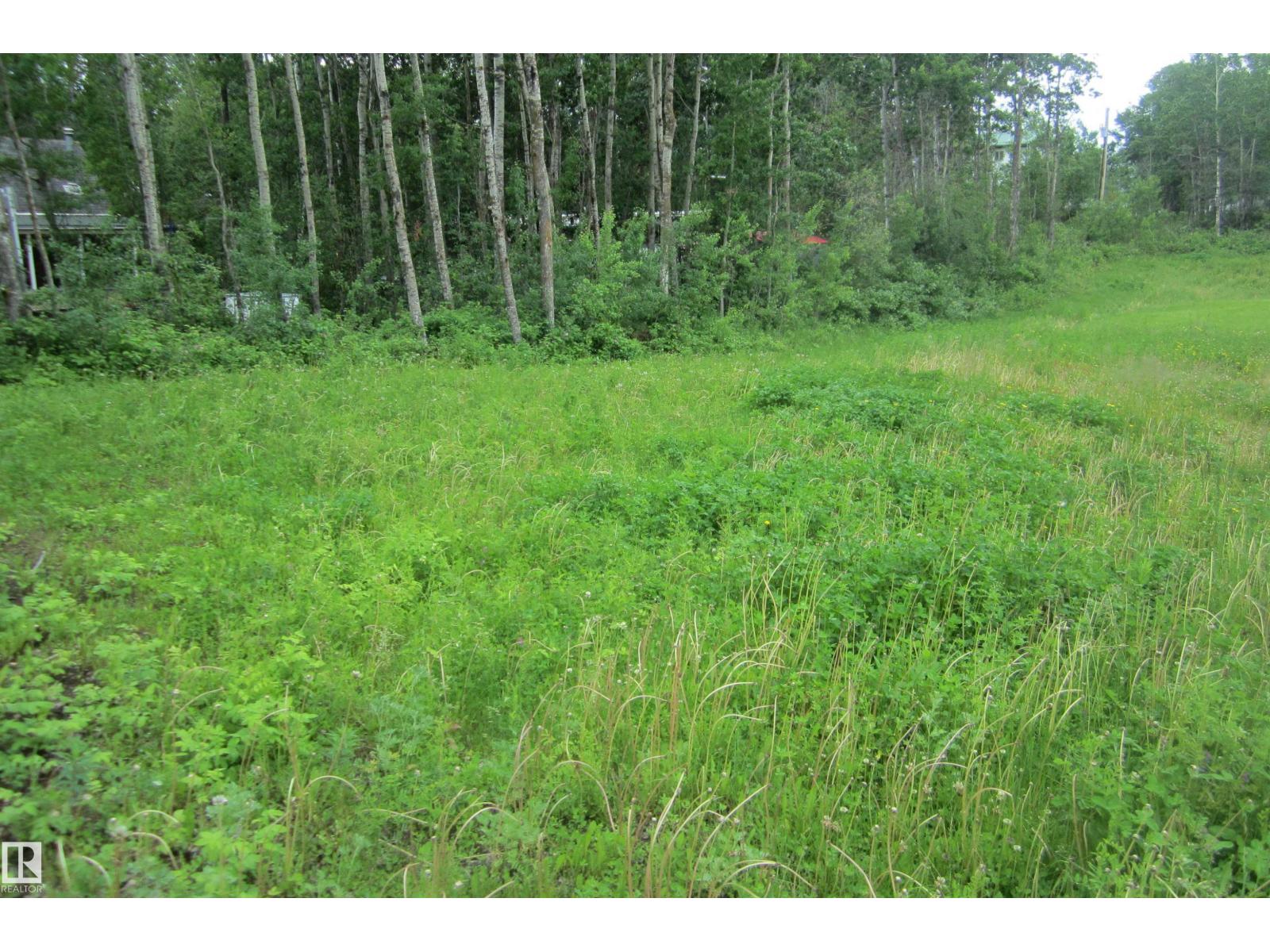 220 11502 Twp Rd 604 S - photo 4