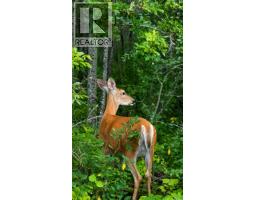 Turtle Lake Evergreen Acres, Turtle Lake, SK S0M2Y0 Photo 12