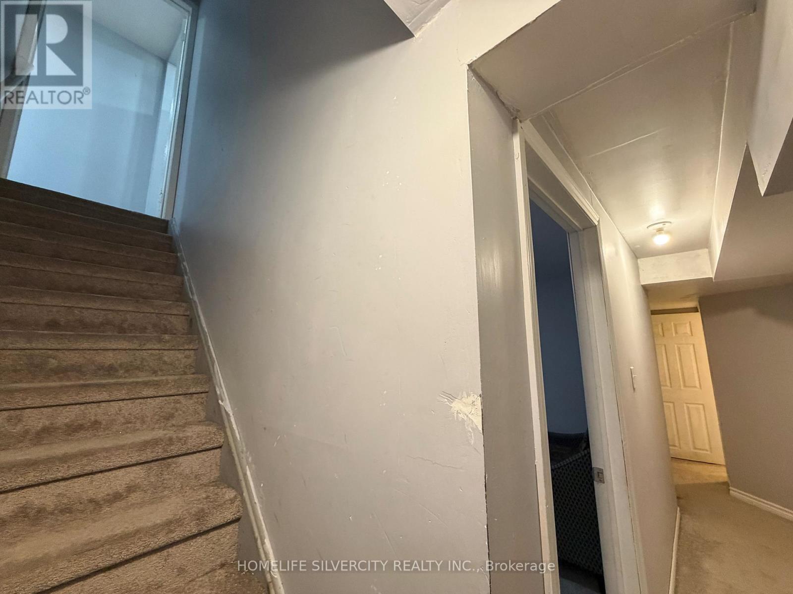 45 PIANE AVENUE - 11