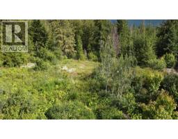 6820 Grandview Drive, Nelson, BC V1L5P3 Photo 6