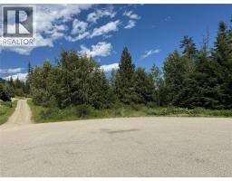 6820 Grandview Drive, Nelson, BC V1L5P3 Photo 8
