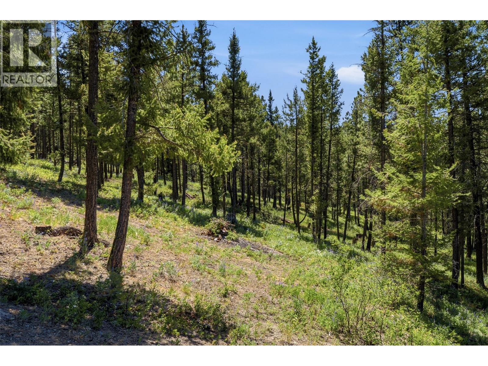 550 Kane Valley Road - 59