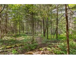 36 Ch. Becker, Gracefield, QC J0X1W0 Photo 32