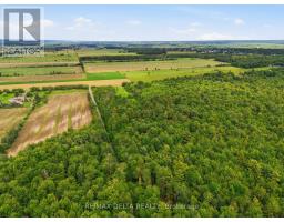 Pt Lt 5 Con 5 Part 2,3,5,6 Road, Alfred And Plantagenet, ON K0B1A0 Photo 7