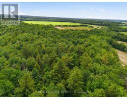 Pt Lt 5 Con 5 Part 2,3,5,6 Road, Alfred And Plantagenet, ON K0B1A0 Photo 9