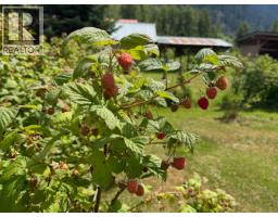 780 Green Road, Pemberton, BC V0N2L2 Photo 15