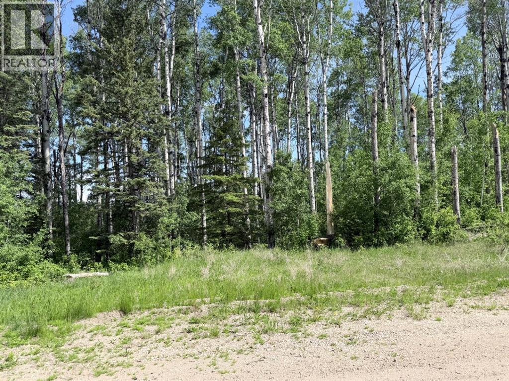 Block 1 Lot 7 Elk Ridge Estates - photo 2