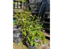 300 Lake Park Rd, Lake Cowichan, BC V0R2G0 Photo 27