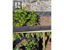 300 Lake Park Rd, Lake Cowichan, BC V0R2G0 Photo 34