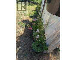 300 Lake Park Rd, Lake Cowichan, BC V0R2G0 Photo 44