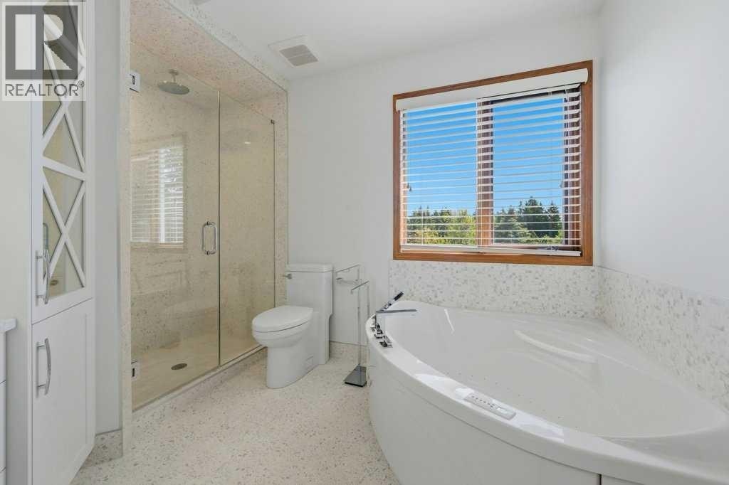Tub and walk in shower