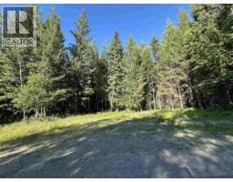Lot 4 Erb Road, Quesnel, BC V2J6H5 Photo 18