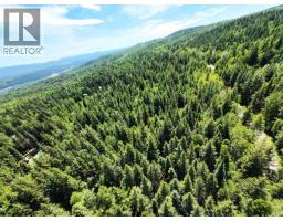 Lot 4 Erb Road, Quesnel, BC V2J6H5 Photo 7
