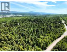 Lot 4 Erb Road, Quesnel, BC V2J6H5 Photo 10