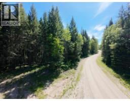 Lot 4 Erb Road, Quesnel, BC V2J6H5 Photo 14